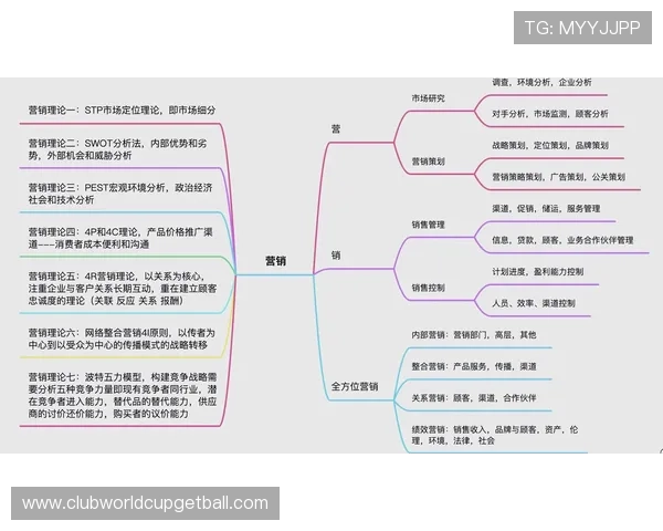 分析龙八体育有限公司的市场营销策略，帮助合作伙伴实现共赢发展目标